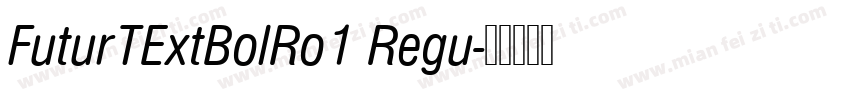FuturTExtBolRo1 Regu字体转换
